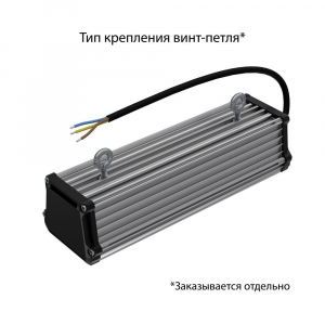 Т-Линия v2.0 20 250мм Эко 12-24V AC/DC 3000К Микропризма