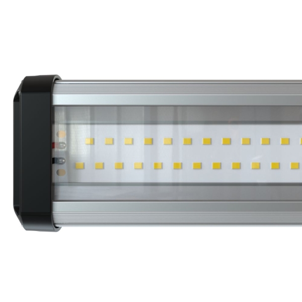 PI-promled-t_line_compact-25-600mm-23-23-23-23-23-prozrachniy-3_3ea63f2bbfe5.jpg